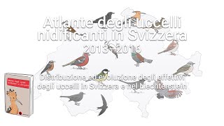 Atlante degli uccelli nidificanti in Svizzera 20132016 [upl. by Charlotte589]