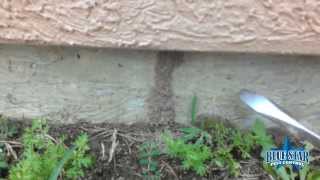 Conducive conditions with Termites getting into a home [upl. by Zinn]