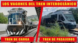 Así son los vagones del tren Interoceánico del Istmo de Tehuantepec [upl. by Nemra]