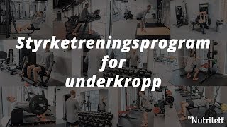 Styrketreningsprogram for underkropp til nybegynnere [upl. by Esmerelda]