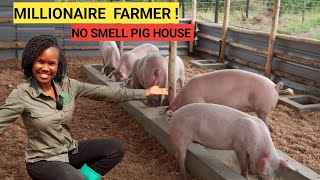 How Many PIGS To START A Simple Pig Farm Business  2024 Farm Routine [upl. by Greenes]