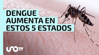 Alertan por aumento de casos de dengue 5 estados con más casos [upl. by Arun]