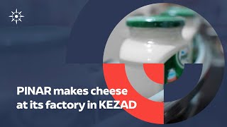 Making cheese at Pinars factory in KEZAD Abu Dhabi [upl. by Erastes148]