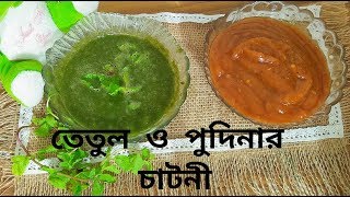 তেতুল ও পুদিনার চাটনী। tamarind amp mint chutneytetulpudinar chutney bangla recipe green chutney [upl. by Aiekam]