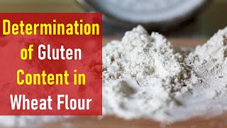 Lecture on Food Product Analysis Determination of Gluten Content In Wheat Flour [upl. by Eneliak]