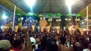 Palluruthy Sree Bhavaneeswara temple pooram [upl. by Ecirahs]