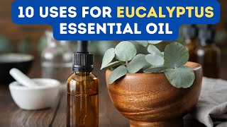 10 BENEFITS OF EUCALYPTUS ESSENTIAL OIL [upl. by Nuzzi]