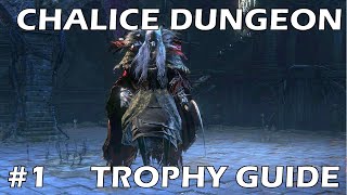 Bloodborne Chalice Dungeon Trophy Walkthrough  Part 1  Pthumeru and Central Pthumeru Chalice [upl. by Jeanine]