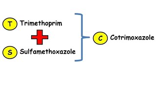 Cotrimoxazole antibiotics pharmacology [upl. by Ariet493]