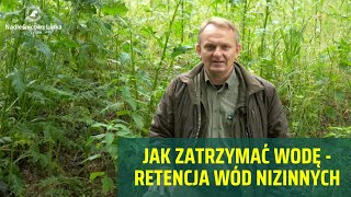 Zatrzymać wodę  retencja wód nizinnych [upl. by Alian177]