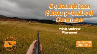 Columbian Sharptailed Grouse Hunting  with Andy Wayment  Season IV Episode VI [upl. by Assirehs]