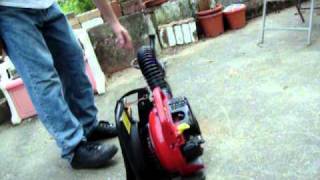 HomeLite Leaf Blower [upl. by Dibru]