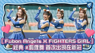 0615  Fubon Angels X FIGHTERS GIRL  經典 狐狸舞 首次出現在新莊 [upl. by Pani700]