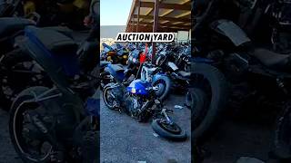 Madbrah Auction Adventure Gixxerbrah [upl. by Ertha]