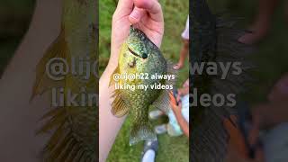 Thank you Lijah22 bluegill fishingpole bassfishinglife canepole guitar bait fishingrod [upl. by Dualc]