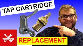 The Ultimate Guide To Swapping Out Your Bathroom Tap Cartridge [upl. by Yc328]