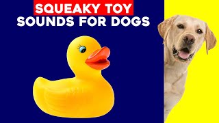 Squeaky Toy Dog Toy  Sounds for Dogs Reason To Watch Now [upl. by Eniksre147]