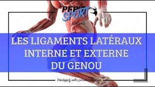 LES LIGAMENTS LATÉRAUX DU GENOU [upl. by Dincolo]