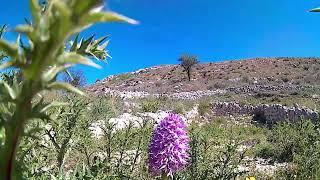 Montagna di Ramacca [upl. by Fabri]