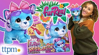 FurReal Rockalots from Hasbro Review [upl. by Ainslee]