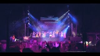 Disneyland Fantasmic 2012 Full HD [upl. by Eb]