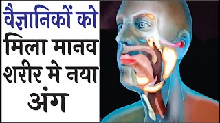 Torus tubarius in hindi  वैज्ञानिकों को मिला मानव शरीर में नया अंग  New organ found in human body [upl. by Janice]