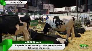 Feria Agropec en Gijón [upl. by Buderus]