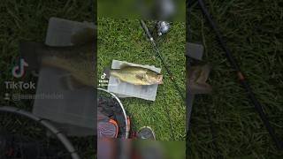 Lake of the Ozarks fishing trip bluegill nature hugebass bassfishing catchandrelease fishing [upl. by Pedrick]