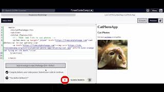 Responsive Web Design Cat Photo App 161718 [upl. by Osanna]