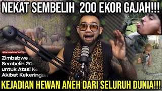 NEKAT SEMBELIH 200 EKOR GAJAH KEJADIAN HEWAN ANEH DARI SELURUH DUNIA Audreykingofthejungle [upl. by Dickerson]