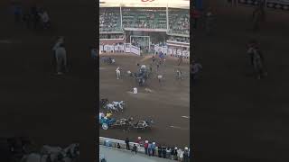 Calgary Stampede racing chuckwagon crash [upl. by Aikenahs]