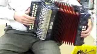 Wren Grey Accordion BC [upl. by Rabjohn782]