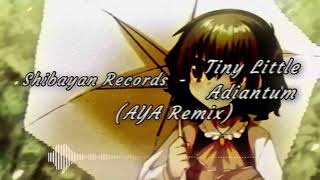 ShibayanRecords  Tiny Little Adiantum AYA Remix [upl. by Cotsen406]