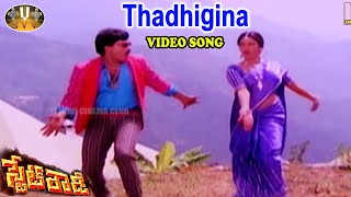 STATE ROWDY MOVIE VIDEO SONG THADIGINA THOM [upl. by Inattyrb10]