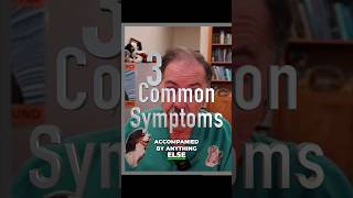 3 Common Causes of Head Shaking in Dogs and Cats veterinary dogshorts doglover [upl. by Chere]