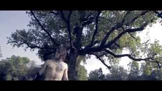 FUROR GALLICO  Song Of The Earth official video [upl. by Brittne591]