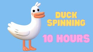 Duck Spinning to Fluffing a Duck 10 Hours [upl. by Kilk]