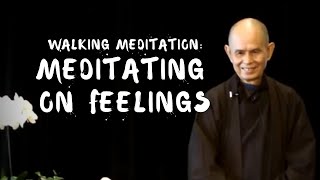 Walking Meditation Meditating on Feelings in Every Footstep  Thich Nhat Hanh EN subtitles [upl. by Darell]