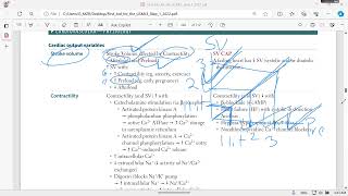 cardiovascular physiology step 1 part 1 [upl. by Aileon828]