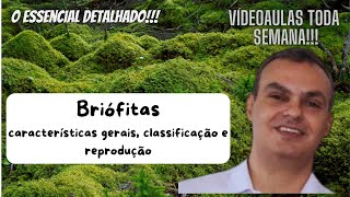 Briófitas caracteres gerais classificação e reprodução O essencial para ENEM e vestibulares [upl. by Ydolem]