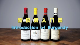 勃艮第产区入门介绍 Introduction of Burgundy [upl. by Nagol]