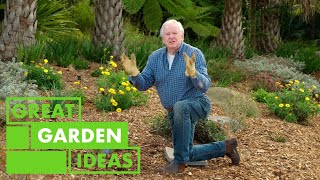 Discover the Beauty and Diversity of Australian Wattles  GARDEN  Great Home Ideas [upl. by Leamiba]