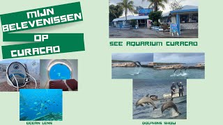 Curacao  See Aquarium Ocean Lens en Dolphins show [upl. by Hedwig]