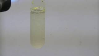 Cadmium Chemistry Cadmium Sulfide via Sodium Polysulfide [upl. by Maguire]