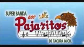 LOS PAJARITOS DE TACUPA EN VIVO DESDE ARROYO GRANDE GURRERO [upl. by Sybilla]