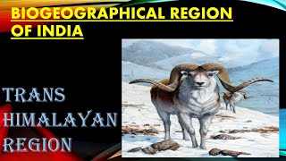 BIOGEOGRAPHICAL ZONES OF INDIA for UPSC  TRANSHIMALAYAN REGION UPSC [upl. by Rehpitsirhc]