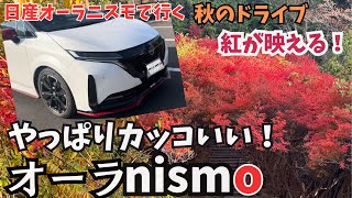 【日産オーラニスモで行く トトロの森！？】紅が映える！やっぱりかっこいいぞ！ [upl. by Notlrak66]