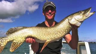 5 Fischen  Angeln  Schleppen auf Hecht im Bodensee [upl. by Aikcin125]