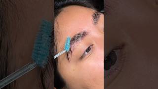 Brow lamination brush through browlamination sosatifying [upl. by Lauretta]