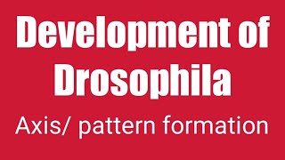 Development of Drosophila Axis formation CSIR Net Life science [upl. by Manley]